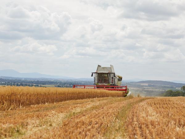 grain-pricing
