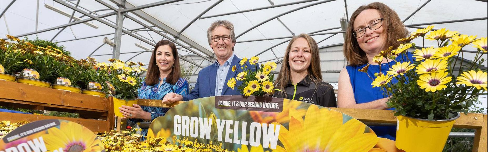 people standing around yellow flowers