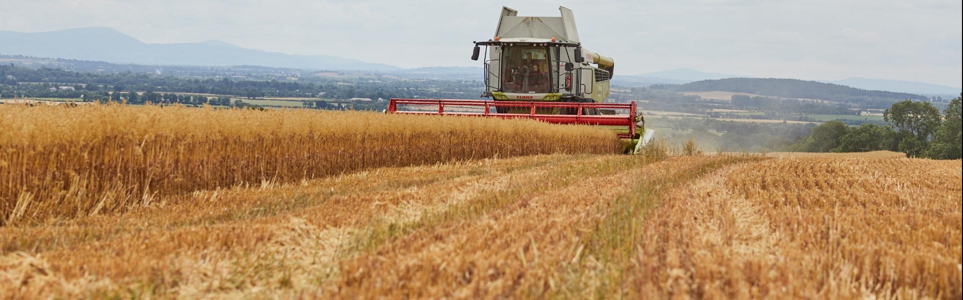 grain-pricing