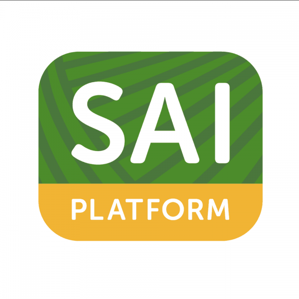 SAI logo