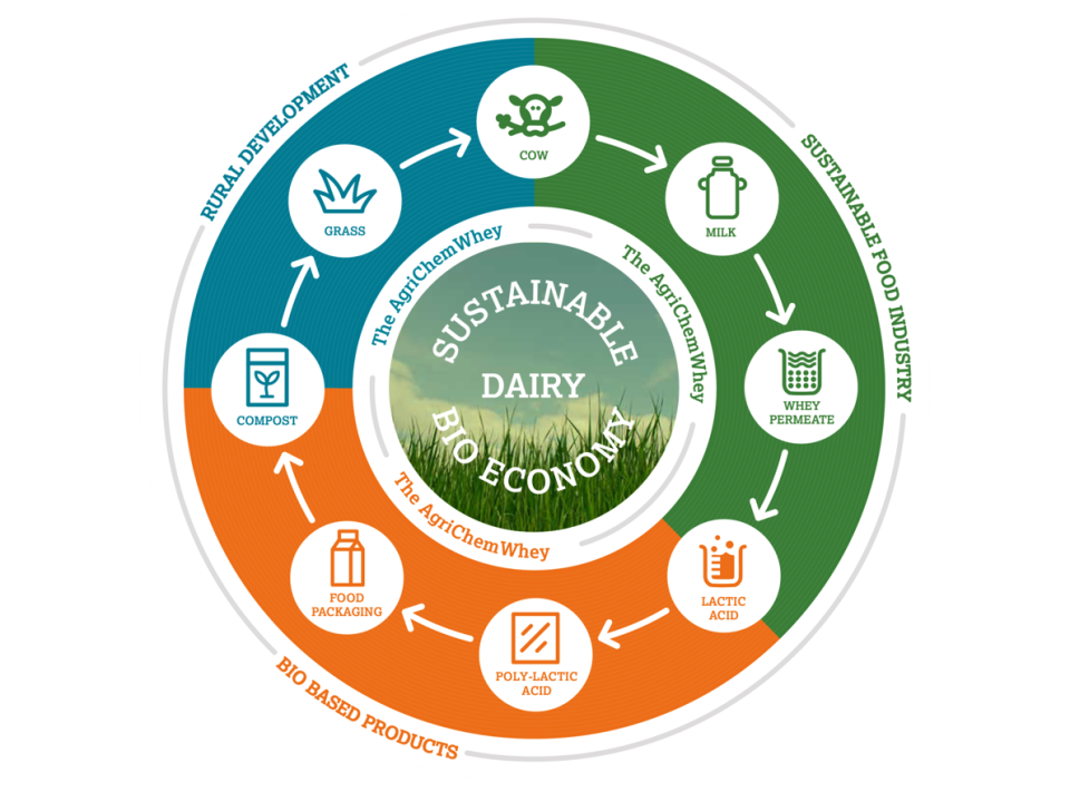 Circular Economy Graphic