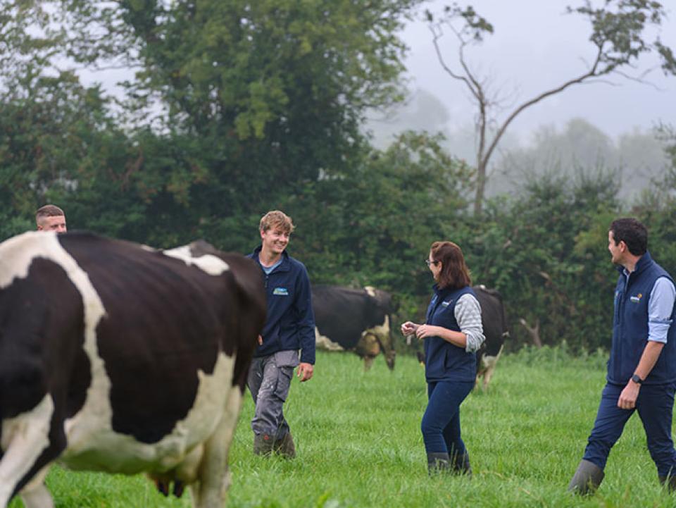 Killonerry Farm