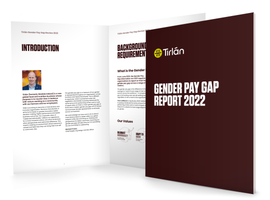 Tirlan Genderpay gap brochure cover