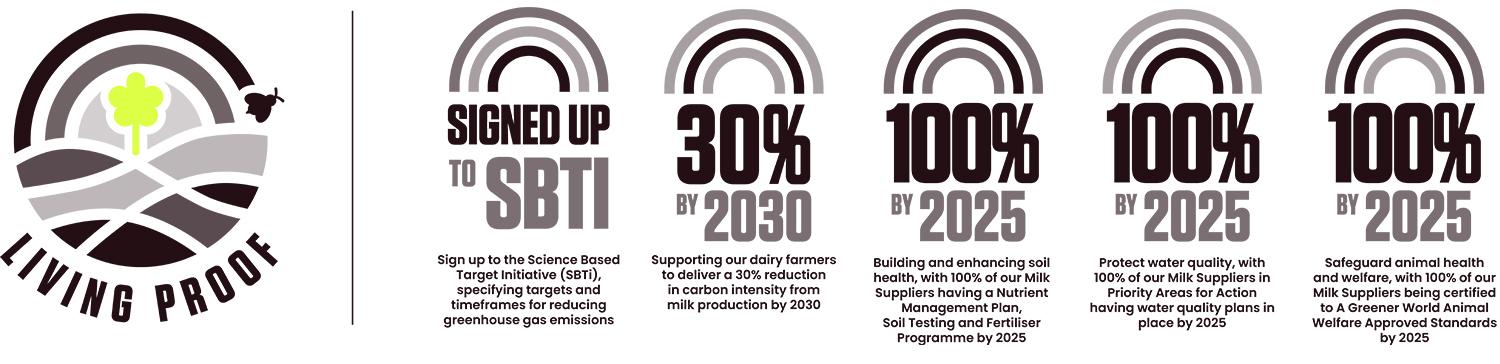 Sustainabilty Targets