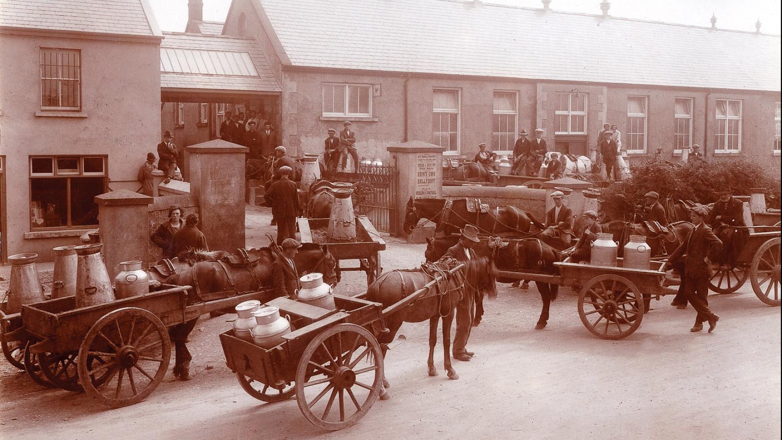 Glanbia Ireland in 1900's
